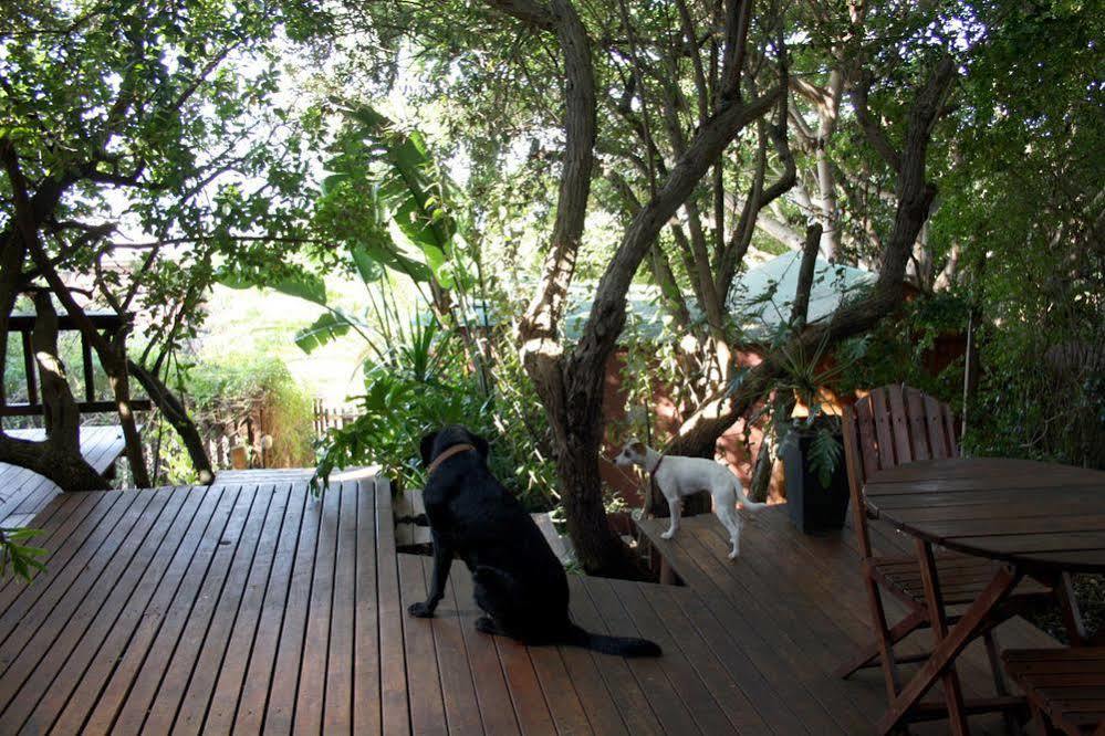 Zen Guesthouse Jeffreysbaai Buitenkant foto